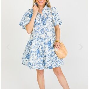 New Sage Green toile floral bubble puff sleeve dress